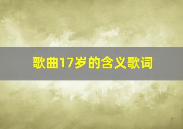 歌曲17岁的含义歌词