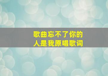 歌曲忘不了你的人是我原唱歌词