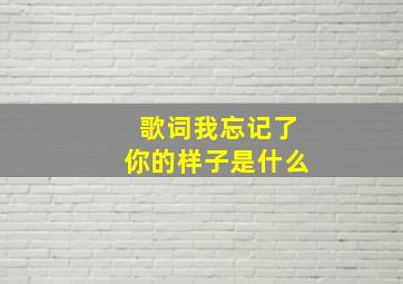 歌词我忘记了你的样子是什么