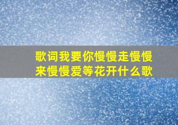 歌词我要你慢慢走慢慢来慢慢爱等花开什么歌