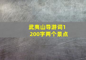 武夷山导游词1200字两个景点