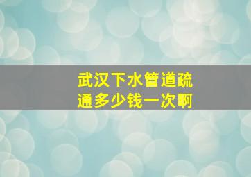 武汉下水管道疏通多少钱一次啊