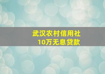 武汉农村信用社10万无息贷款