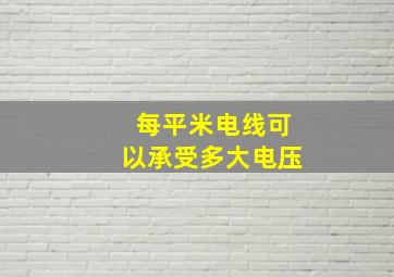 每平米电线可以承受多大电压