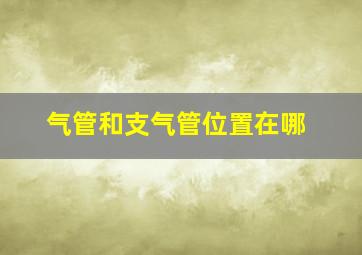 气管和支气管位置在哪