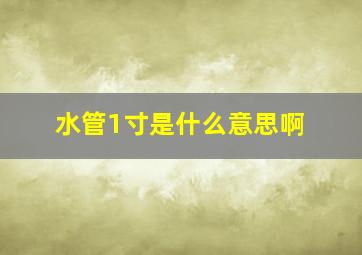 水管1寸是什么意思啊