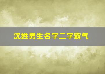 沈姓男生名字二字霸气