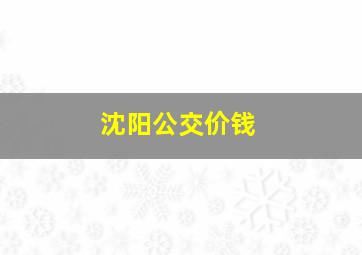 沈阳公交价钱