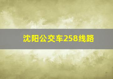 沈阳公交车258线路