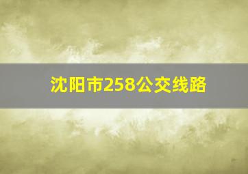 沈阳市258公交线路