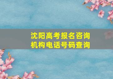 沈阳高考报名咨询机构电话号码查询