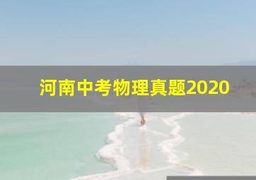 河南中考物理真题2020