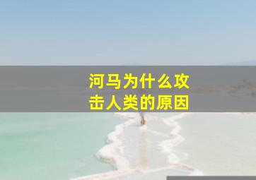 河马为什么攻击人类的原因