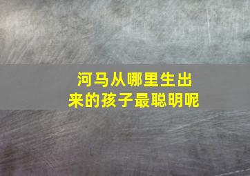 河马从哪里生出来的孩子最聪明呢