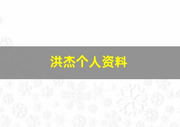 洪杰个人资料