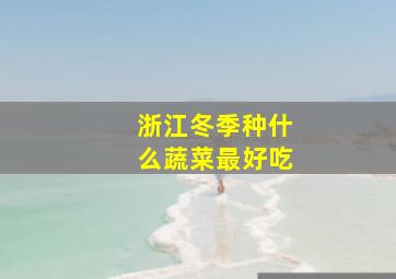 浙江冬季种什么蔬菜最好吃