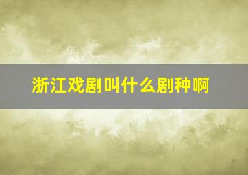 浙江戏剧叫什么剧种啊