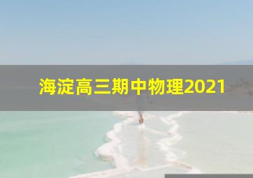 海淀高三期中物理2021