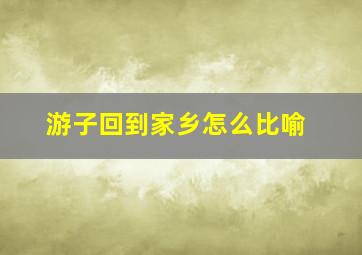 游子回到家乡怎么比喻