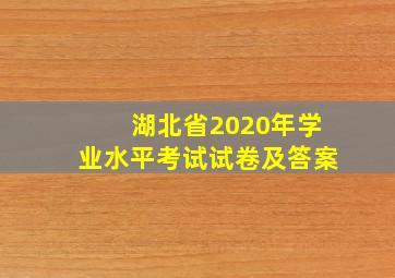 湖北省2020年学业水平考试试卷及答案