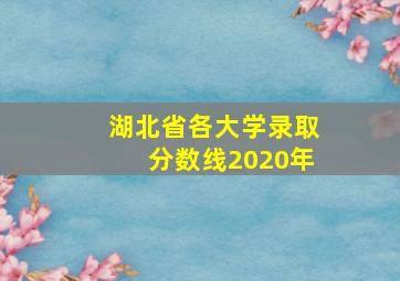 湖北省各大学录取分数线2020年