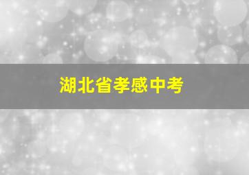 湖北省孝感中考