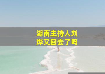 湖南主持人刘烨又回去了吗