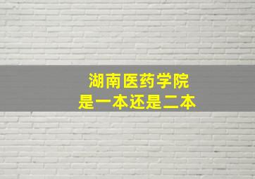 湖南医药学院是一本还是二本