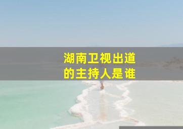 湖南卫视出道的主持人是谁