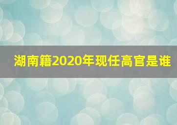 湖南籍2020年现任高官是谁