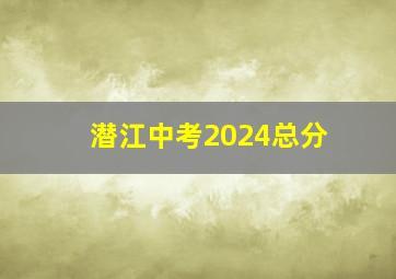 潜江中考2024总分