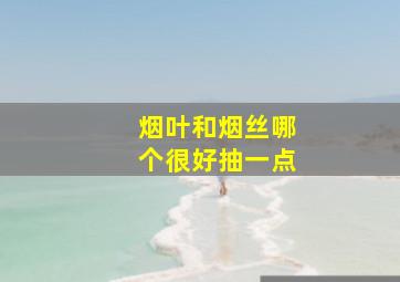 烟叶和烟丝哪个很好抽一点