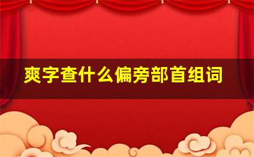 爽字查什么偏旁部首组词