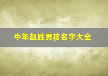 牛年赵姓男孩名字大全