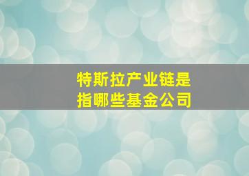 特斯拉产业链是指哪些基金公司