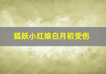 狐妖小红娘白月初受伤