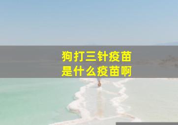 狗打三针疫苗是什么疫苗啊