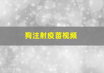 狗注射疫苗视频