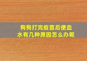 狗狗打完疫苗后便血水有几种原因怎么办呢