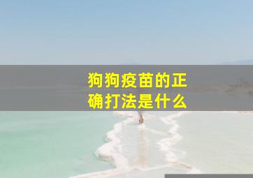 狗狗疫苗的正确打法是什么