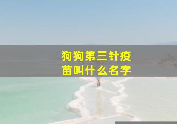 狗狗第三针疫苗叫什么名字