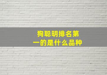 狗聪明排名第一的是什么品种