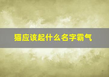 猫应该起什么名字霸气