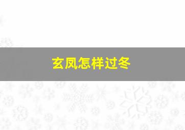 玄凤怎样过冬