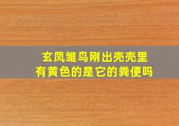 玄凤雏鸟刚出壳壳里有黄色的是它的粪便吗