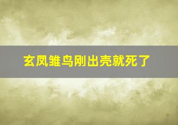 玄凤雏鸟刚出壳就死了