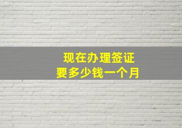 现在办理签证要多少钱一个月