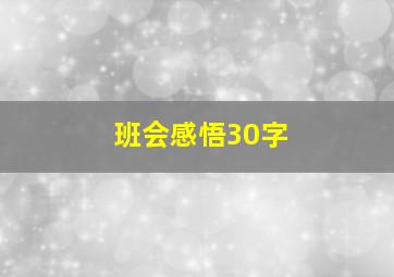 班会感悟30字