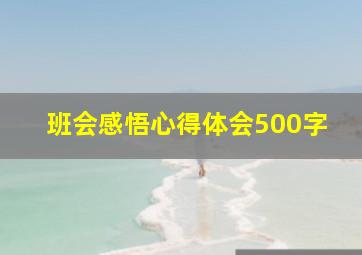 班会感悟心得体会500字