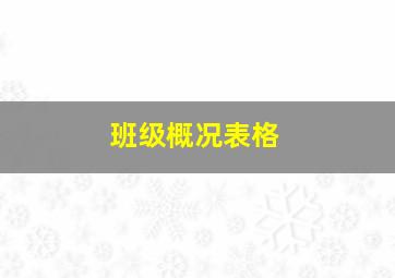 班级概况表格